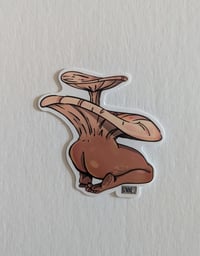 Image 4 of Mushroom Cuties
