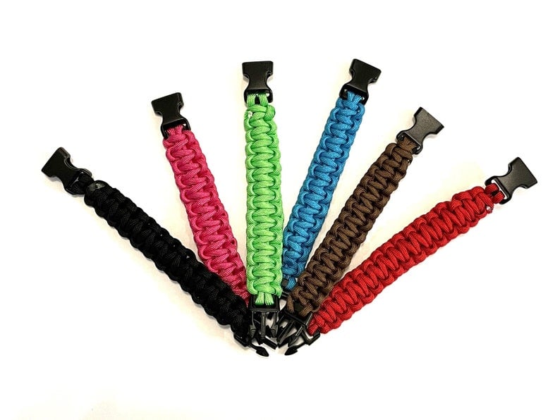 Image of Josiah's Project 