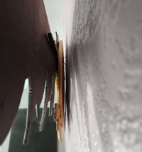 Image 3 of Picked Clean
