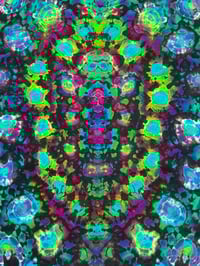 Image 4 of 2XL reverse kenneystyle b/g