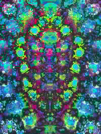 Image 5 of 2XL reverse kenneystyle b/g