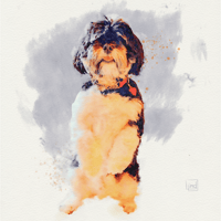 Image 2 of Pet Portrait Digital