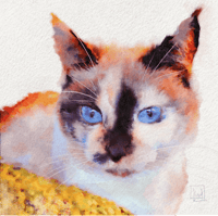 Image 3 of Pet Portrait Digital