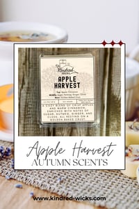 Image 1 of Apple Harvest Wax Melts
