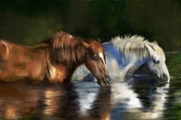 Image 2 of Reflections at Dusk 