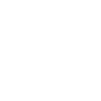ANTI RALLY CAR STICKER