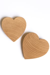 Image 1 of Blank HRT Pins (2 Pack)