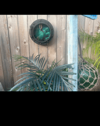 Image 3 of Creature of the Black Lagoon: The Lurker Beneath | Light-Up Horror Porthole Wall Art | Nautical Mons