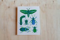Image 1 of Friendly Bugs Risograph Print