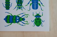 Image 2 of Friendly Bugs Risograph Print