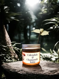 Image 1 of Calendula & Chamomile Balm