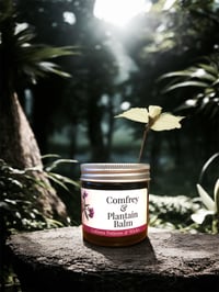 Comfrey & Plantain Balm