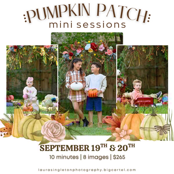 Image of Pumpkin Patch Mini Session