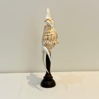 Image 7 of Coquillage Harpago Chiragra sur socle en bois tourné style fin XIXe