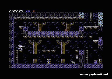 Image of Musketeer (Psytronik Collection C64 Tape)