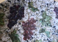 Image 3 of Paper Mache Bowl in Gray Granite Color with Grape Decoupage