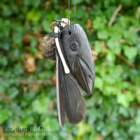 Image 4 of Avalonian Crow Amulet (DAM681)