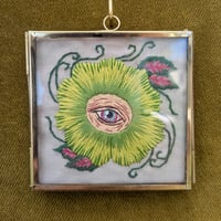 Image 1 of Filoculus : Islamorada