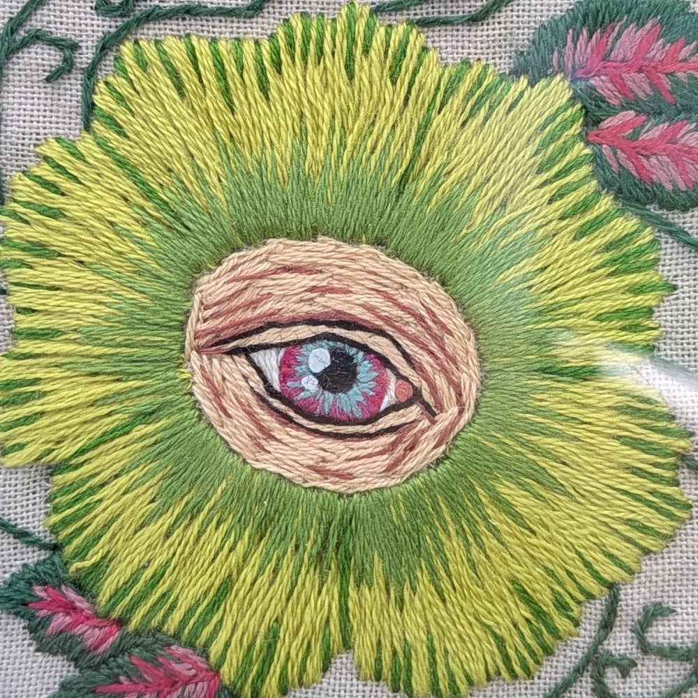 Filoculus : Islamorada