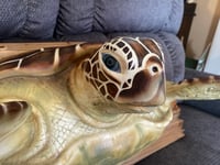 Image 4 of "Salsa Verde" Lifesize Green Sea Turtle Wall Mount OOAK