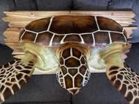 Image 5 of "Salsa Verde" Lifesize Green Sea Turtle Wall Mount OOAK