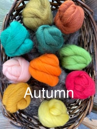 Image 3 of Wool Packs