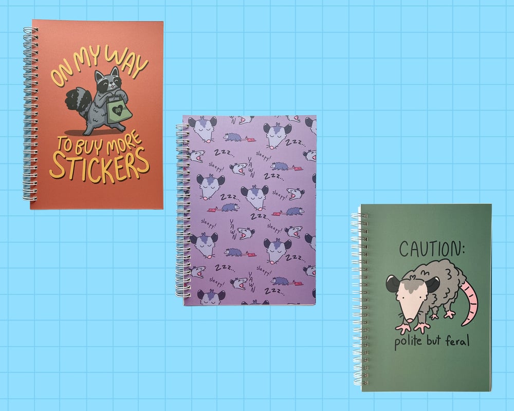 Image of Mystery Bundle 3.0 - $100 worth of stationery and stickers for $25!