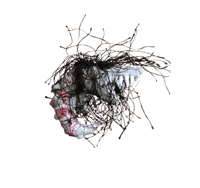 Image 3 of Filth Lizard Salvage Plush