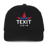 Image 2 of Embroidered Texit Coin Dad Cap