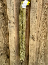 Image 3 of Summer Sun - Handspun Romney, Blended Wool, and English Angora Fiber Yarn