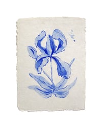 blue flower 3