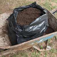 Image 2 of Saffron Soil