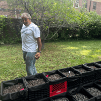 Image 5 of Saffron Milk Crates