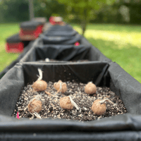 Image 1 of Saffron Milk Crates