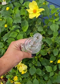 Image 4 of Recycler Straw