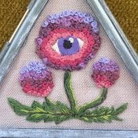 Image 2 of Filoculus : Hydrangea