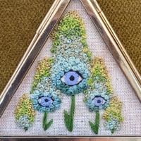 Image 2 of Filoculus : Lupine