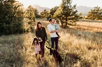 Image 2 of November 1 | Holiday Minis  ($50 deposit only)