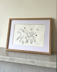 Image 5 of Wild Horses