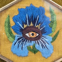 Image 2 of Filoculus : Iris