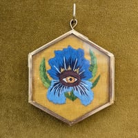 Image 1 of Filoculus : Iris