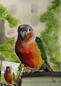 Pet Portrait Traditional