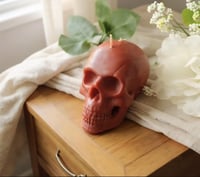 Image 1 of Skulls