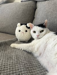 Image 2 of Custom Loaf Cat & Dogs