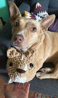 Image 4 of Custom Loaf Cat & Dogs