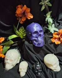 Image 2 of Skulls