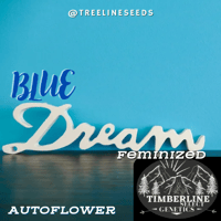 Image 2 of Timberline Select ~ Blue Dream Auto 