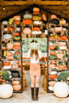 Fall pumpkin path family mini 10/5