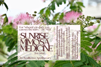 Image 1 of Sunshine Mimosa Medicine Tincture, 2oz