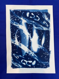 Kitchen Sink (Cyanotype)